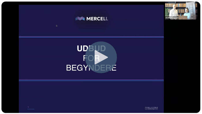 Udbud for begyndere